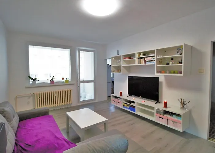 Cozy, Bright Room With Free Parking